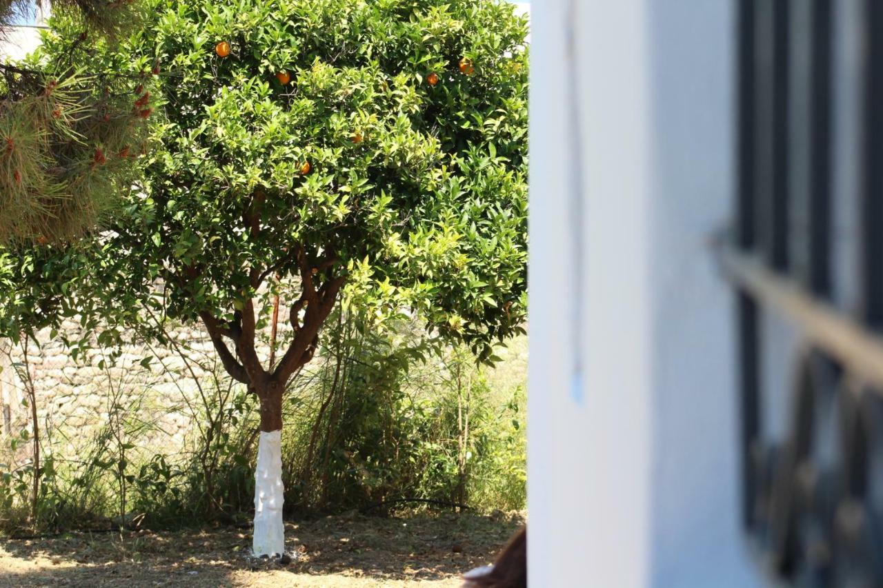 エギオ Orange Gardenヴィラ エクステリア 写真